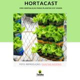 #10 - Hortaliças Para Plantar Em Vasos