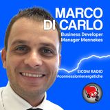 Marco Di Carlo, Business Developer Manager per l'eMobility Mennekes Italia