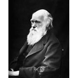 "Top Teacher Speaks Out Against Darwin"