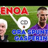 MERCATO GENOA - Ora per GUDMUNDSSON spunta GASPERINI. Il Palermo bussa per MARCANDALLI