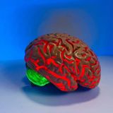 Cerebro cuántico