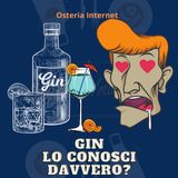 Gin e Gin Tonic sai cosa stai bevendo? lo bevi da solo? è Gusto o moda?