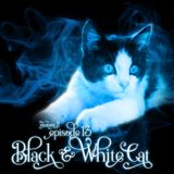 S2E13: Black & White Cat
