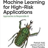 Machine Learning for High-Risk Applications: Approaches to Responsible AI