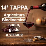 14ª TAPPA - IL VINO NATURALE: I PRIMI ANNI DOPO KOBERWITZ