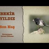 Bekir Yıldız - Son Kuş