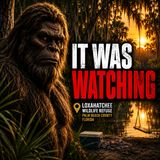 Glowing-Eyed Skunk Ape Stuns Teenagers at Loxahatchee Wildlife Refuge, Florida