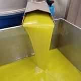 L'Olio Nuovo: L'Oro Verde