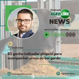Arroz deve perder mais uma vez espaço nas lavouras do RS na próxima safra