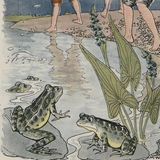 De Jongens en de Kikkers | Aesopus Fabels