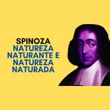 Spinoza - Natureza naturante e natureza naturada