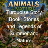 Turquoise Story Book Stories and Legends of Summer and Nature - Ada M Skinner Eleanor L Skinner