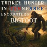 TURKEY HUNTER IN TENNESSEE CALL'S IN A BIGFOOT | IT MOVED LIKE A SHADOW! |