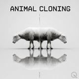 The History of Animal Cloning - From Early Frog Experiments to Dolly the Sheep