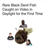 Devil Fish ERECTED ( PROPHECY UNFOLDING)