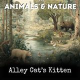 Alley Cats Kitten - Caroline Fuller