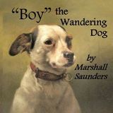 Boy, The Wandering Dog by Marshall Saunders | Full Audiobook | Audiobook Time