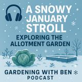 🎧 ❄️ A Snowy January Stroll | Exploring the Allotment Garden 🌱