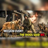 24 Dogs Guarded a Downed Pilot Against Orders | Military Dogs Audio Story