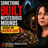 SOMETHING BUILT MYSTERIOUS MOUNDS INSIDE MY CHICKEN COOP | Bigfoot Experiences From Oklahoma