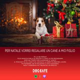 #46 - Per Natale vorrei regalare un cane a mio figlio.