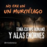 El Hombre Pájaro Me Siguió De México Hasta Texas | 2978 08