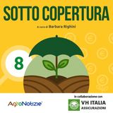 Oltre la grandine, c'è di più