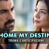 My Home My Destiny, Curiosità: La Chimica Tra I Protagonisti!