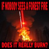 If Nobody Sees a Forest Fire Does it Really Burn? (1/21/25)