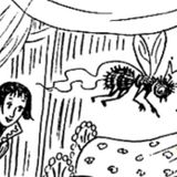 La abeja reina | Cuentos de Animales