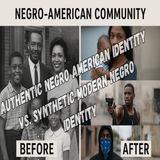 Authentic Negro American Identity vs Synthetic Modern Negro Identity II