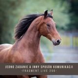Jedno zadanie a inny sposób komunikacji - fragment live 256