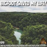 Child Witness Encounters Bigfoot in Henderson, Kentucky and Finds Unexpected Protection