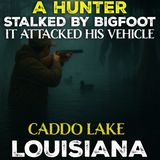 Bigfoot Encounters at Caddo Lake Louisiana | Screams in the Bayou (It Attacked His Vehicle)