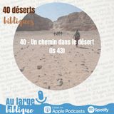 #57 Désert 40 - Un chemin dans le désert (Is 43)
