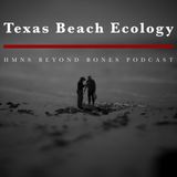 Texas Beach Ecology, with HMNS Malacology/Marine Invertebrate Curator Tina Petway & Asst. Mar Carranza