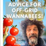 Achieving Self-Reliance and Work-Family-Life Balance On A Portuguese Quinta #advice #selfsufficient #homestead