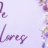 Rev. Don Scroggs | De Colores