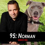 95 - Norman the Service Dog