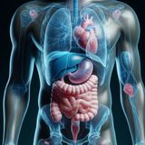Serie Speciale Intestino 2: Il Sistema Immunitario Intestinale
