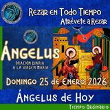 Oración del Angelus del día de hoy, Domingo 25 de Enero 2026, Oración a la virgen María 🌹Oracion diaria a la Virgen María 🙏
