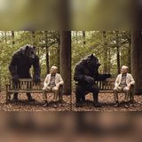 Grandpa’s Evening Visitor… The Dogman Returned After His Death