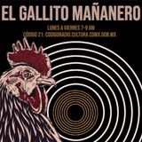 GALLITO MAÑANERO - #TrópicoMañanero (07-12-22)