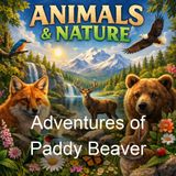 Adventures of Paddy Beaver - Thornton W Burgess