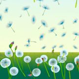 Hoe Westenwind Paardenbloem hielp | Verhaaltjes Over Wind