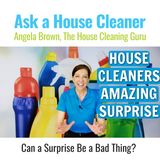 House Cleaners Amazing Surprise Ruins Business