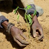 28 novembre 2025 - Notiziario Africa