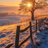 Episode 16 - Meditations - Nature Sounds Tuesday!