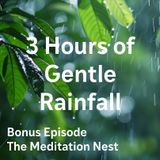 Bonus Episode: Gentle Rainfall for Deep Sleep | 3 Hours of Calming White Noise