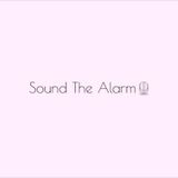 Introduction to SOUND THE ALARM🤓